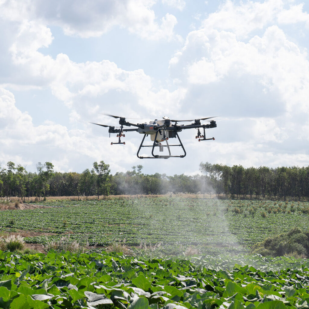 agrokopter opryski z drona